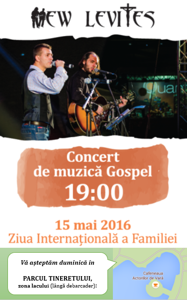 Afis concert New Levites 15 mai 2016